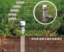 土壤墑情監測系統對農業的發展有哪些優勢？